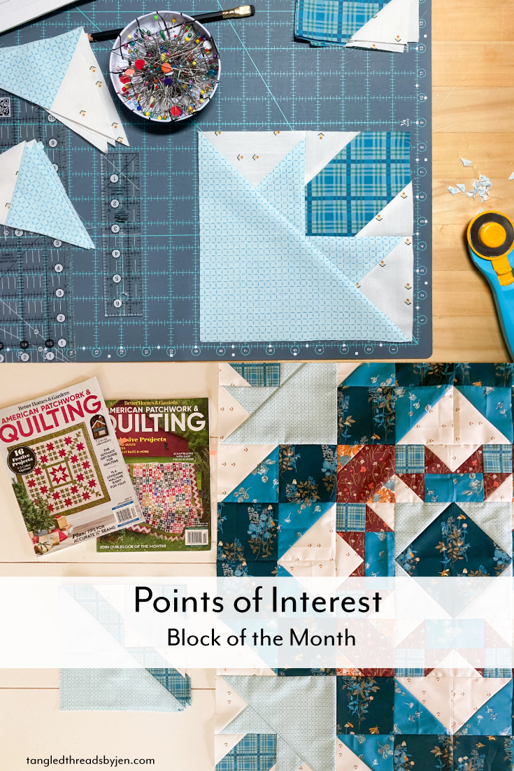 Points of Interest Block of the Month Update + Quilt Kits Available